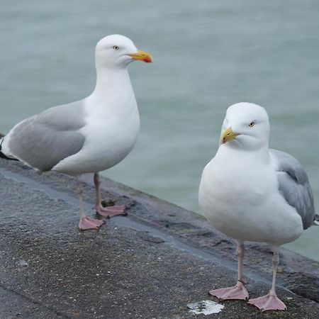 Le Galet Appartement Dieppe Buitenkant foto
